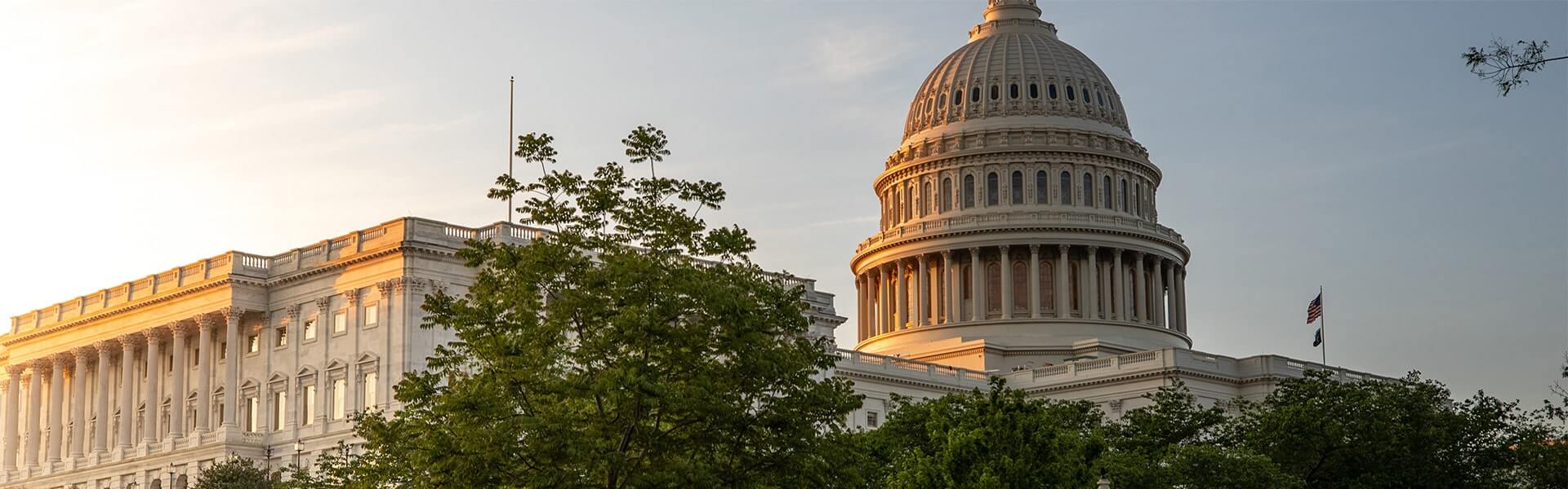 Web & Mobile Services